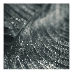 Moss // Moss (Recur) TAPE