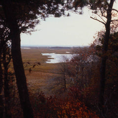 Ned Milligan // Nature Always Needs Improving LP