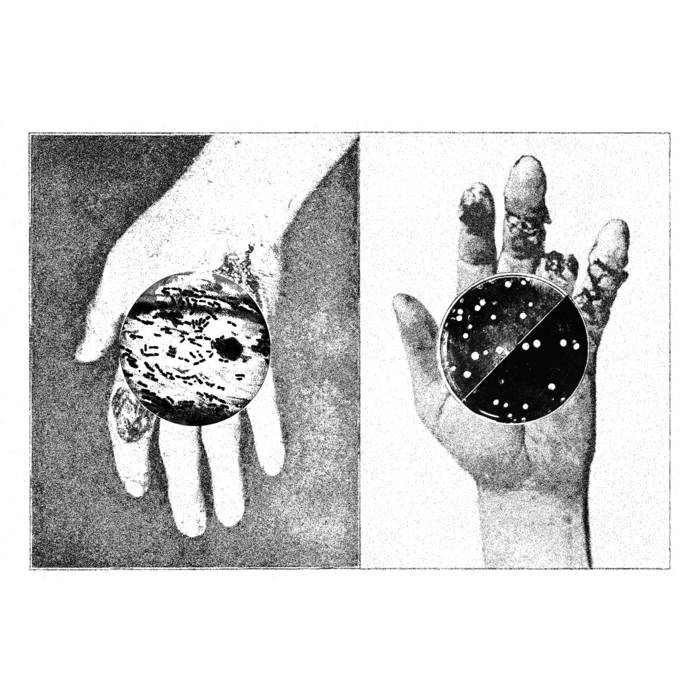 Gnawing Teeth/New Grasping Machina // Split TAPE
