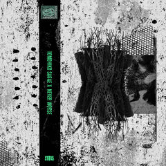 Tomohiko Sagae x Never Worse // s/t TAPE