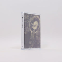 Zekkereya El-magharbel // Daytimes / Nighttimes TAPE