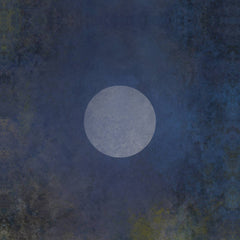 awakened souls // Night Songs LP