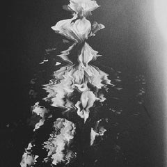 Thomas Bel // October Nights TAPE