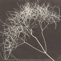 Marie Carroll, James McKain, & Tamio Shiraishi // No Information LP
