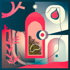 Täino // True North 12"