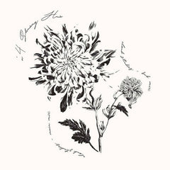 Shuang Hua // N°4 12"