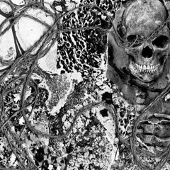 En Nihil // No Future TAPE