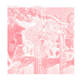 pinkcourtesyphone // shouting at nuance 2xLP