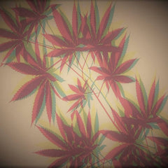 MUURA // old strainz - still blazed TAPE
