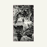 Max Winter // One Thousand Lonely Places LP