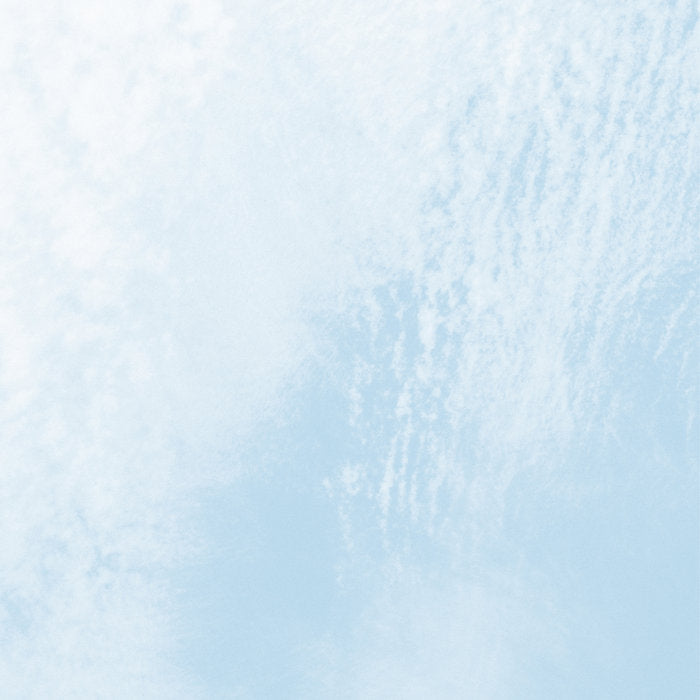 Antti Tolvi // Spectral Organ / Feedback Gong CD