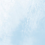 Antti Tolvi // Spectral Organ / Feedback Gong CD