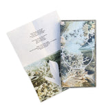 Internazionale // Out Of The Blue, Into The Light 3xTAPE