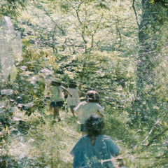 moshimoss // Stones of Paradise LP