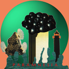 Daniel Vujanic // Paramnesia CD