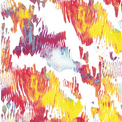 Xiphiidae // Pass Hidingly Seek LP