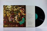 Daniel Bürkner // Landschaft aus Papier LP