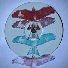 Special Characters // Pen Yr Ole Wen (Head Of The White Slope) 12"