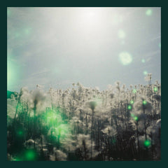 Lunaria // Asphodel Meadows TAPE