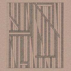 David Birchall / Andrew Cheetham / Colin Webster / Otto Willberg // Plastic Kneecap LP