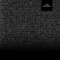 Portico Quartet // Terrain LP