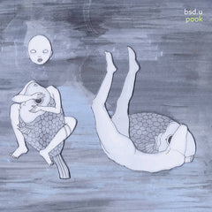 bsd.u // pook LP