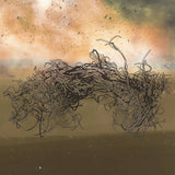 Ross Gentry // Prism of Dust LP