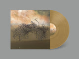 Ross Gentry // Prism of Dust LP