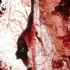 Purgate // Hæresis 10"