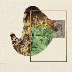 Dan Derks & Zander Raymond // Qualia CD