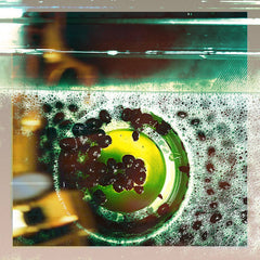 Danny Scott Lane & Matt Elliot Gooden // Espresso Quiet CDR