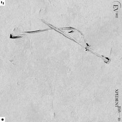 xpedient // R18-16 TAPE