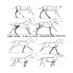 Simon Joyner // A Rag of Colts: Disgraced Songs 1987-2012 LP