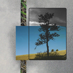 Tilth // Renewal CD