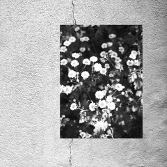 mØMaZ // 3000 Realms TAPE