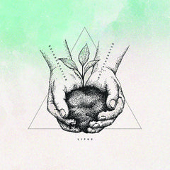 Liphe // Reforestation LP