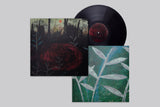 Razen // Regression LP