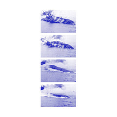 Moss Harvest \ Death Kneel // Involuntary Response (Tragic Outcomes) TAPE
