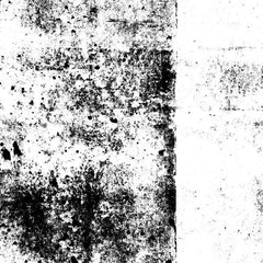 Rovellasca // Rhizomes TAPE