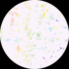 Lack // Satin 12"