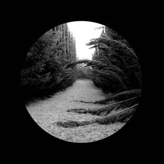 Ladan // Section 12"