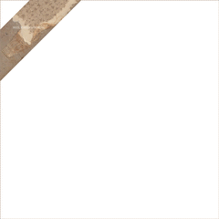 Seitz Versus Gendreau // s/t LP