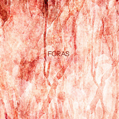 Siavash Amini // Foras LP