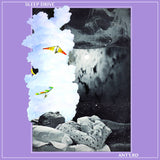 Ant'lrd // Sleep Drive LP