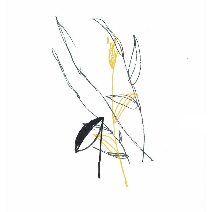 Benoît Pioulard // Slow spark, soft spoke (extended edition) LP
