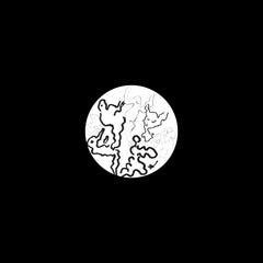 Kuang Program // There is no more snow on the television LP