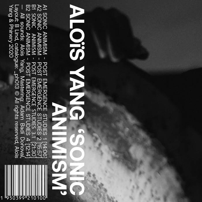 Aloïs Yang // Sonic Animism TAPE