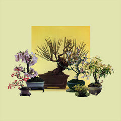 Rosales // Woven Songs LP