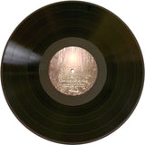 Lisa/Liza // Shelter of a Song LP