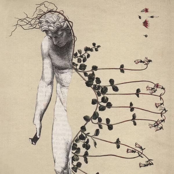 øjeRum // Stigma ART BOOK + CD – Tobira Records